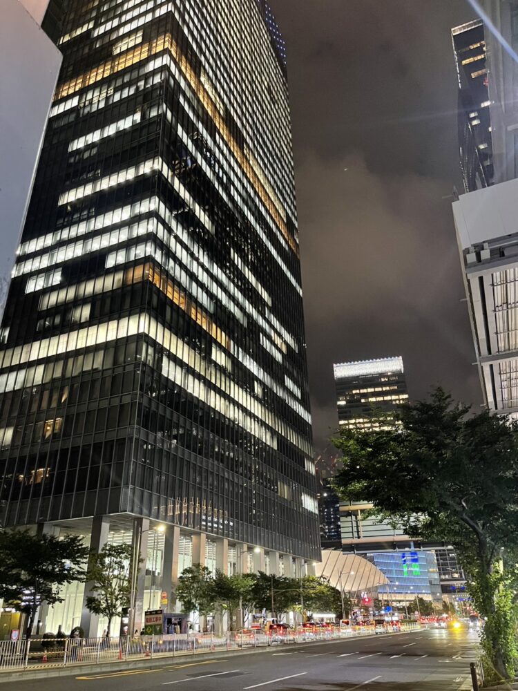 二度目のツバメの子育てのお迎えと、東京駅。